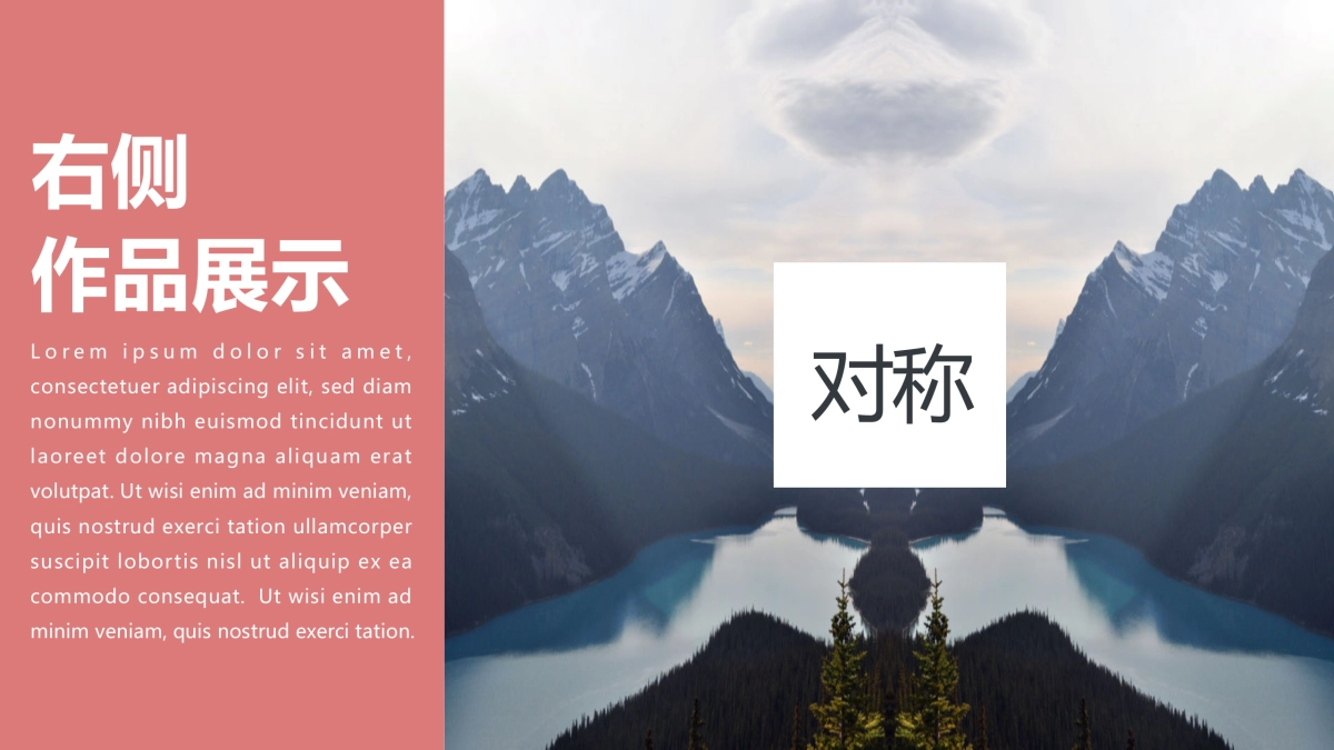 68作品简历_第8页