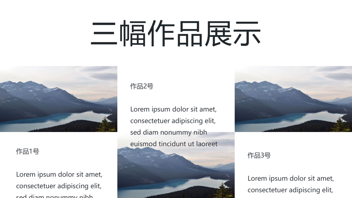 68作品简历_第9页