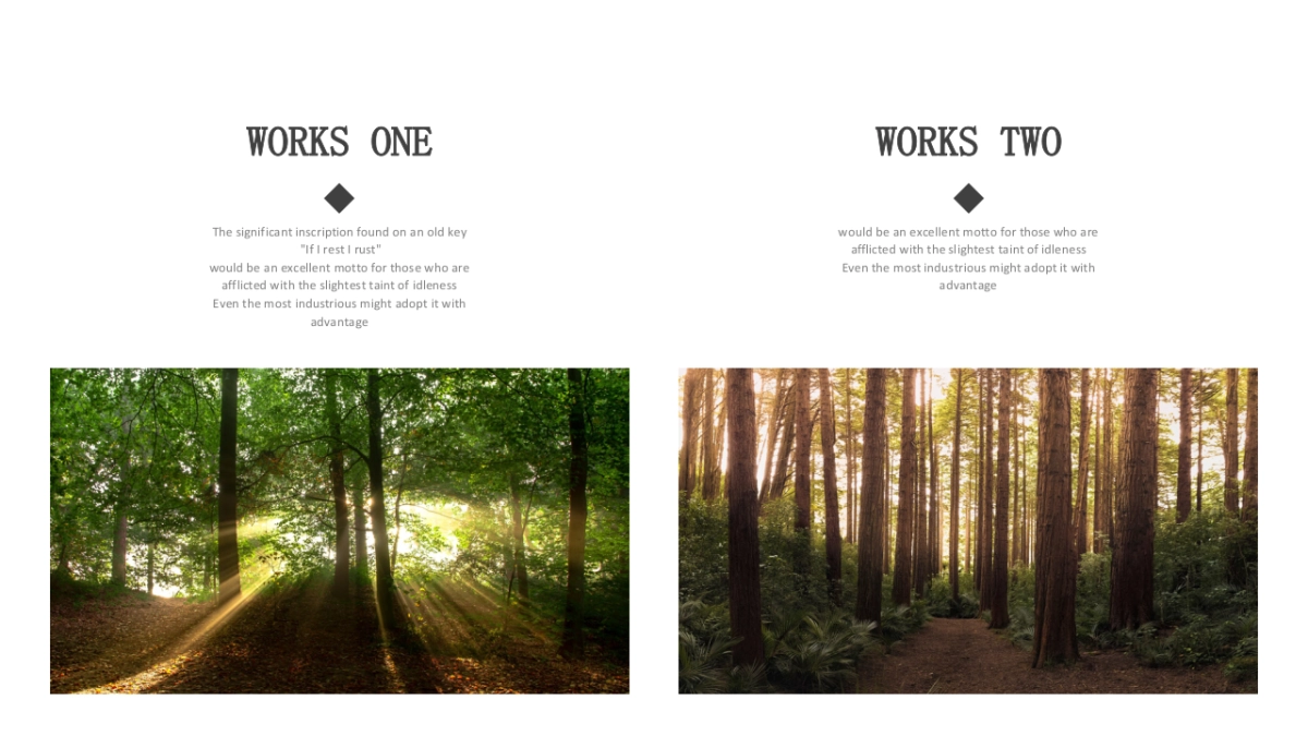 70作品简历_第4页