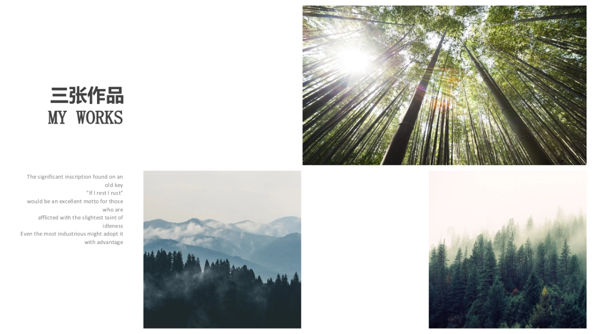 70作品简历_第5页