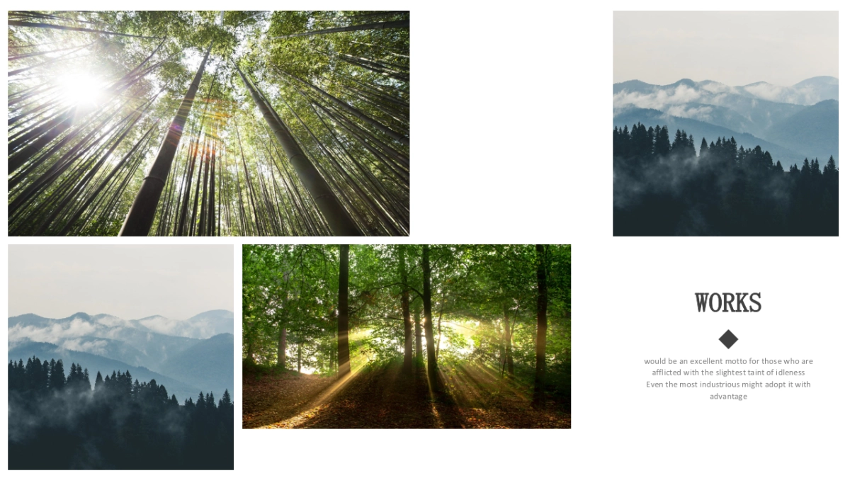 70作品简历_第7页