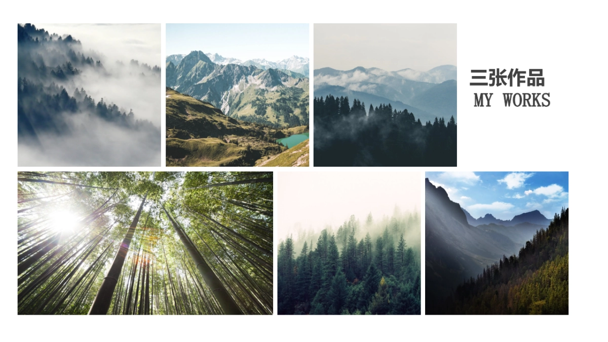 70作品简历_第8页