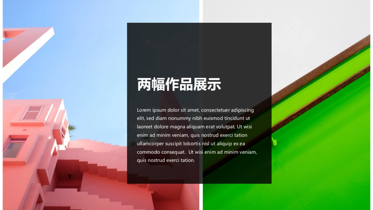 72作品简历_第3页