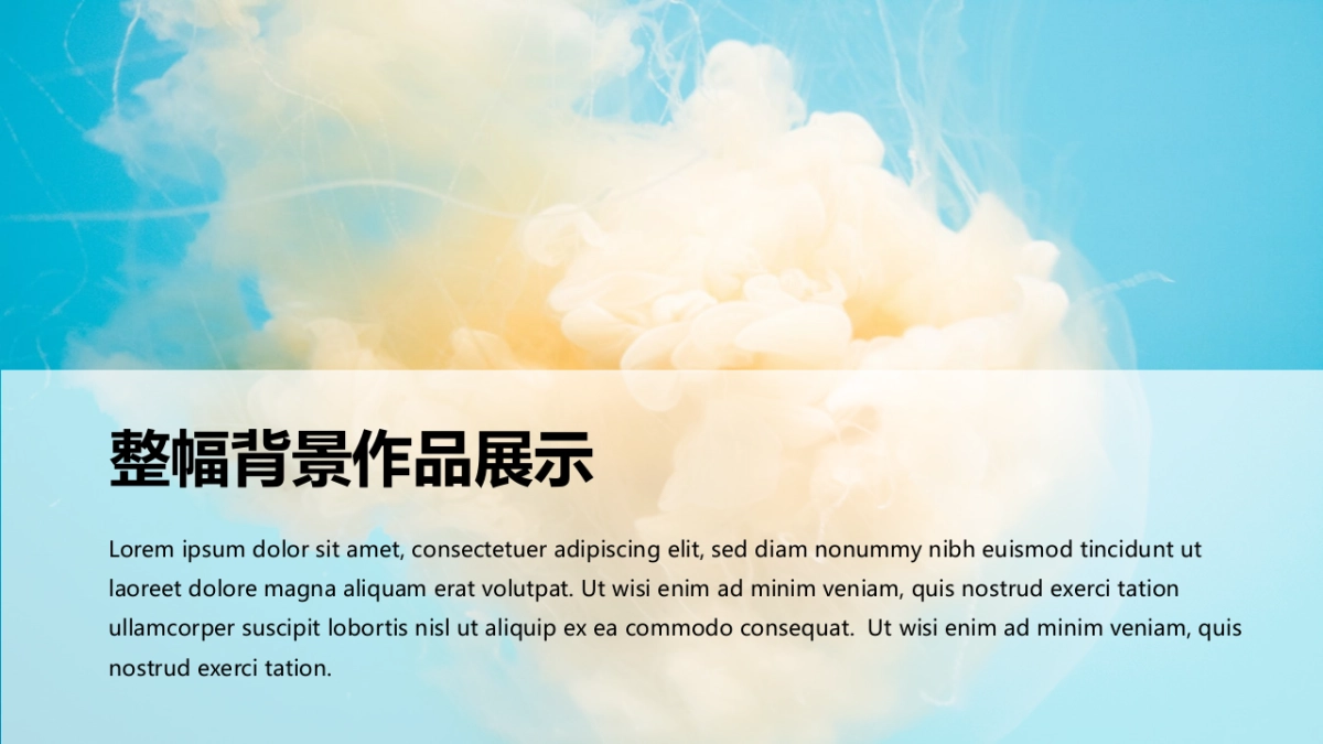 72作品简历_第5页