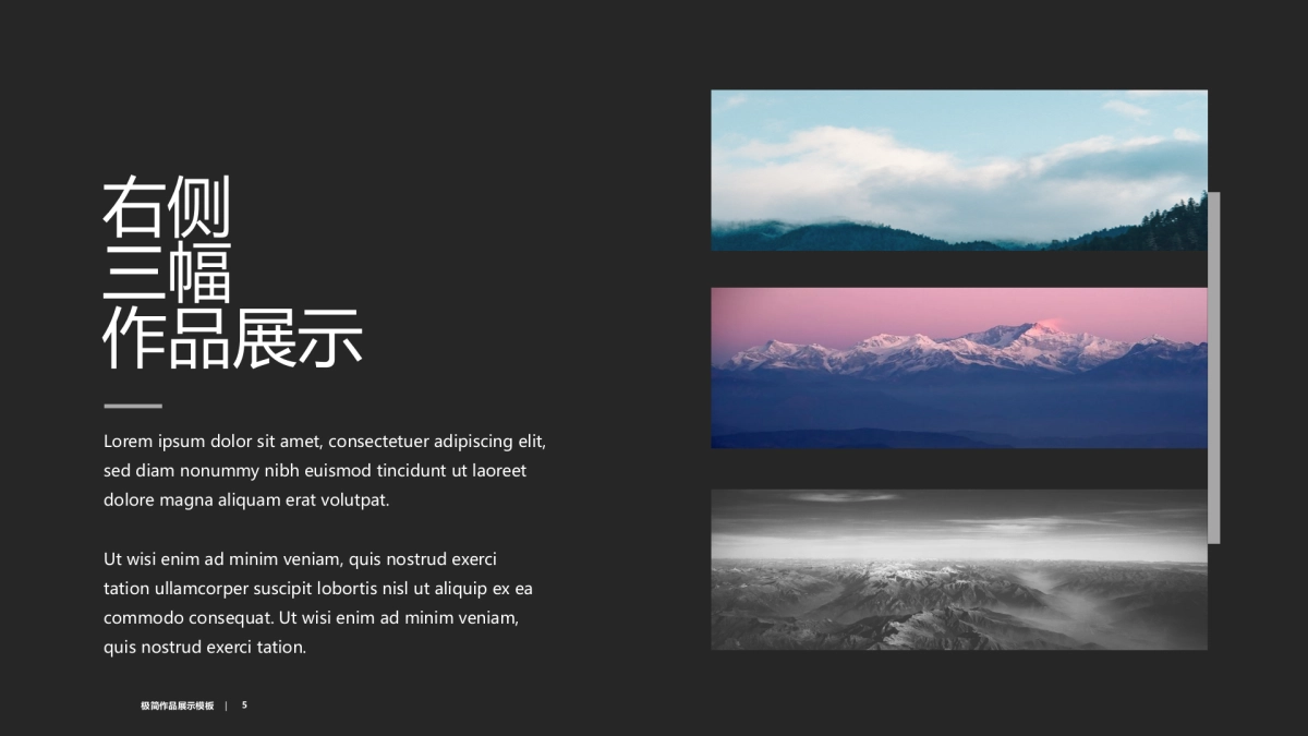 74作品简历_第5页