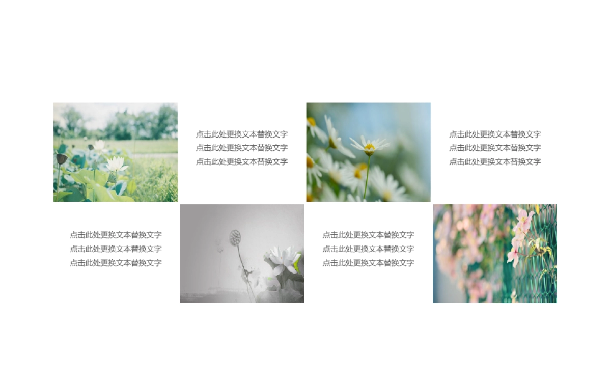 75作品简历_第10页