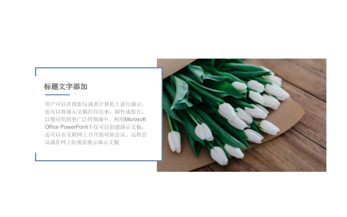 75作品简历_第8页