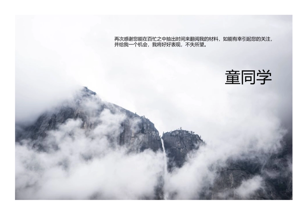 77作品简历_第10页