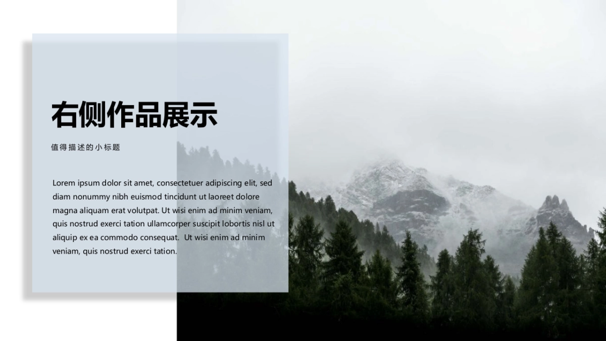 78作品简历_第5页