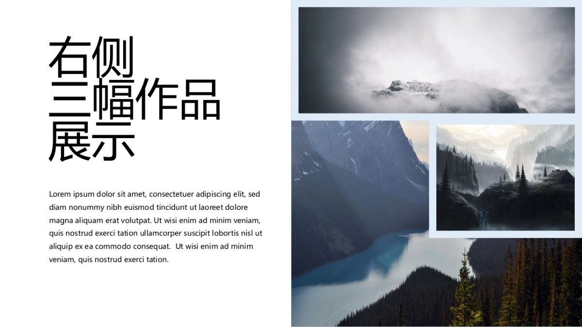 78作品简历_第7页