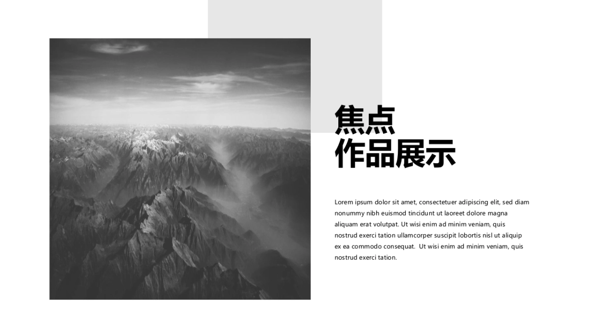 78作品简历_第8页