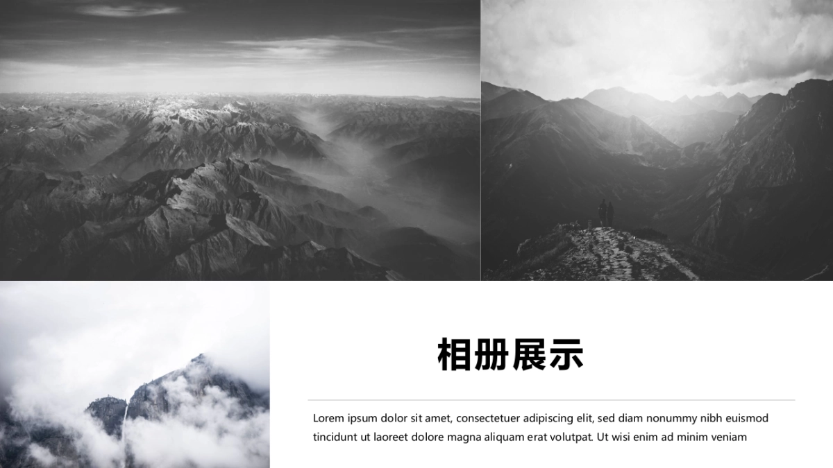 78作品简历_第9页