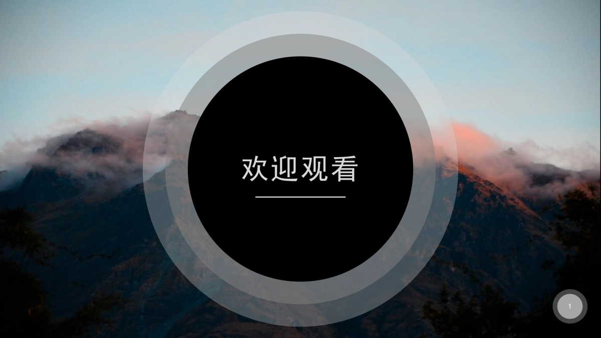 79作品简历_第1页