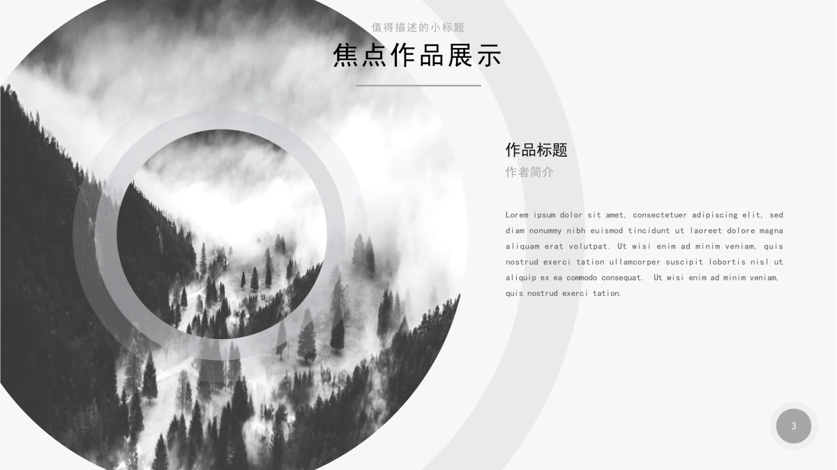 79作品简历_第3页