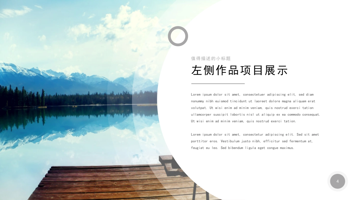 79作品简历_第4页