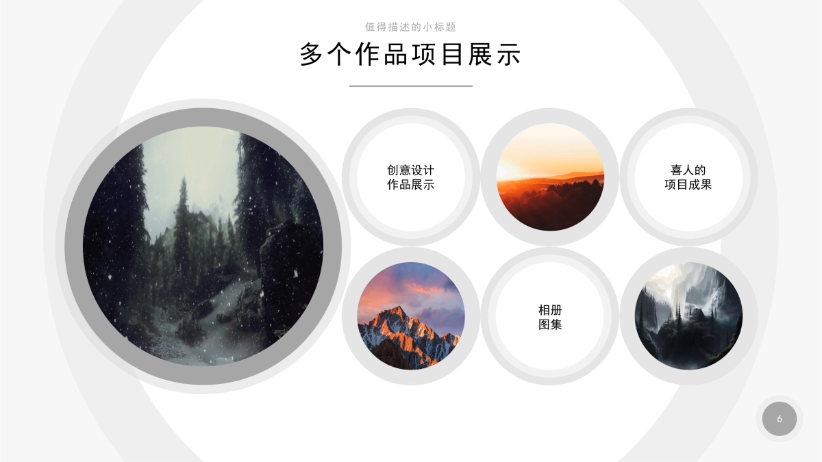 79作品简历_第6页