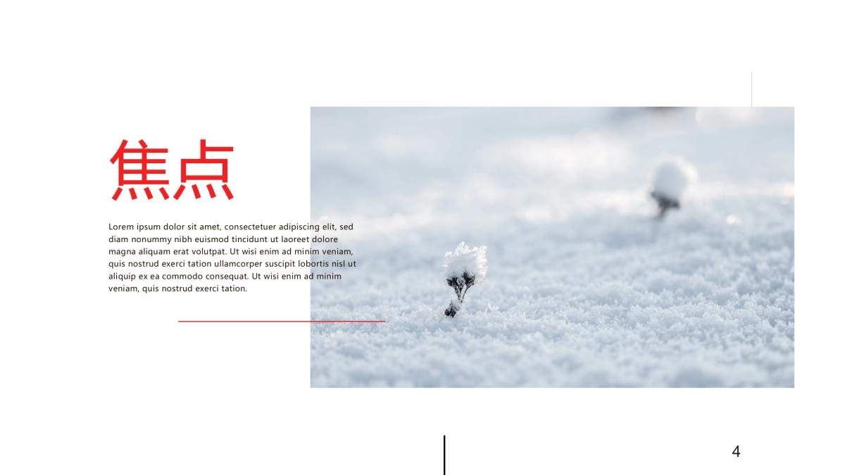 82作品简历_第4页