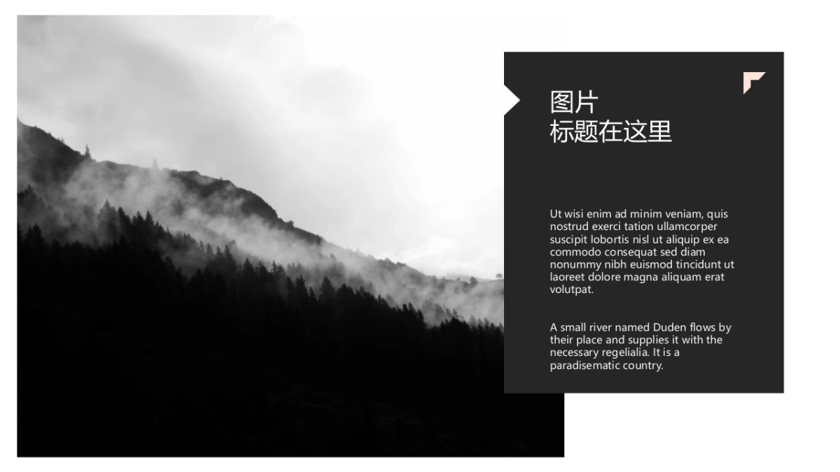 83作品简历_第3页