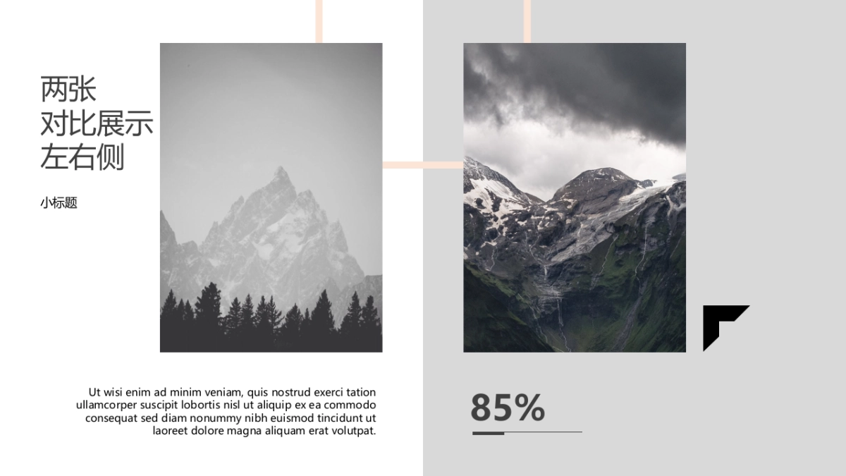 83作品简历_第5页