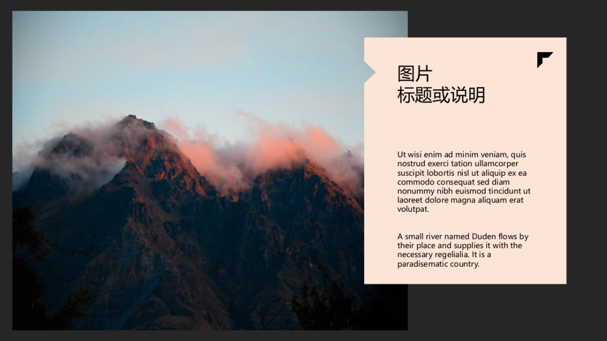 83作品简历_第8页