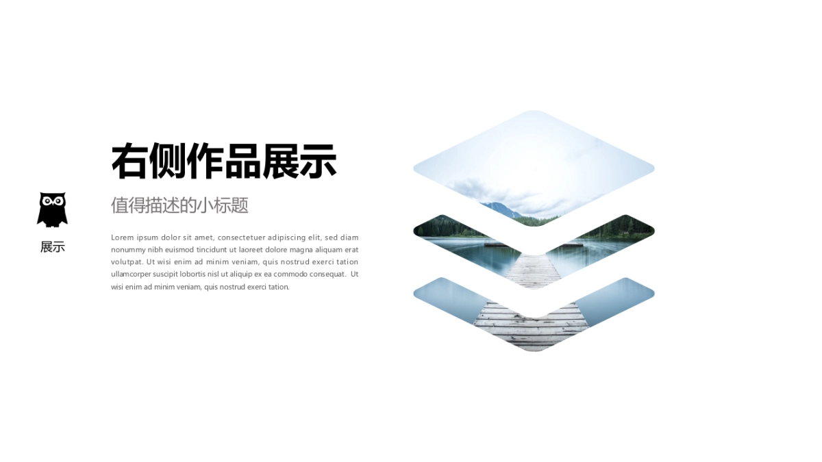 85作品简历_第3页