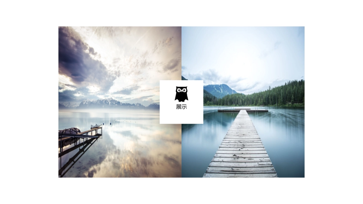 85作品简历_第4页