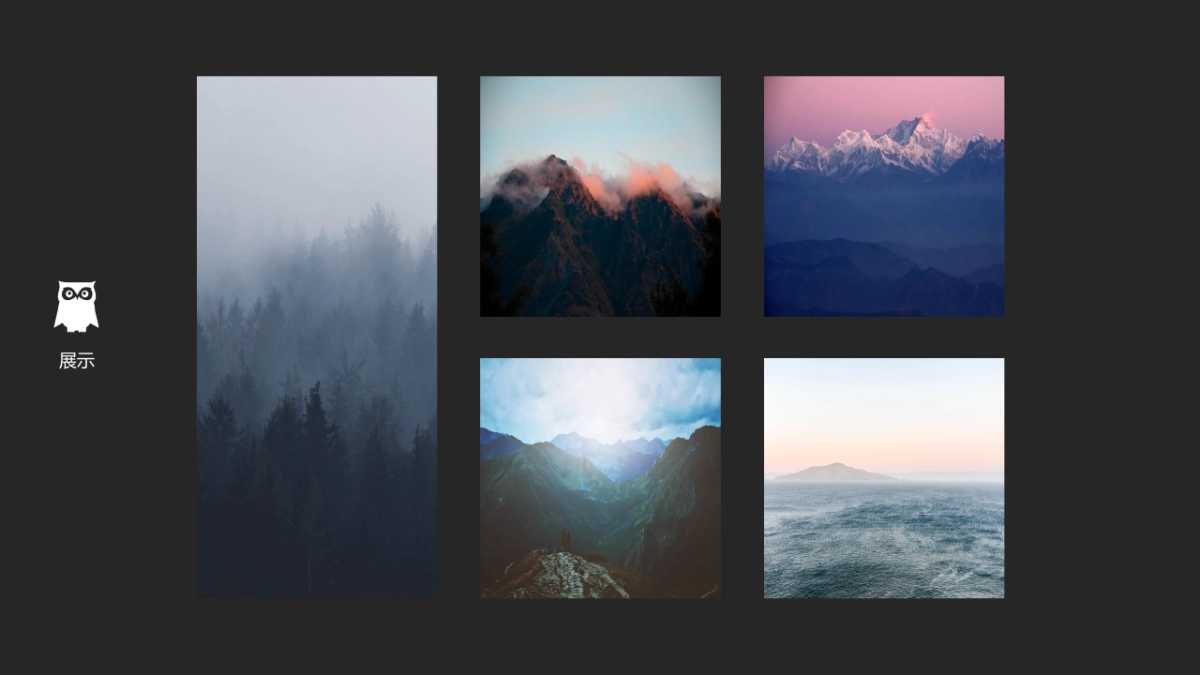 85作品简历_第9页