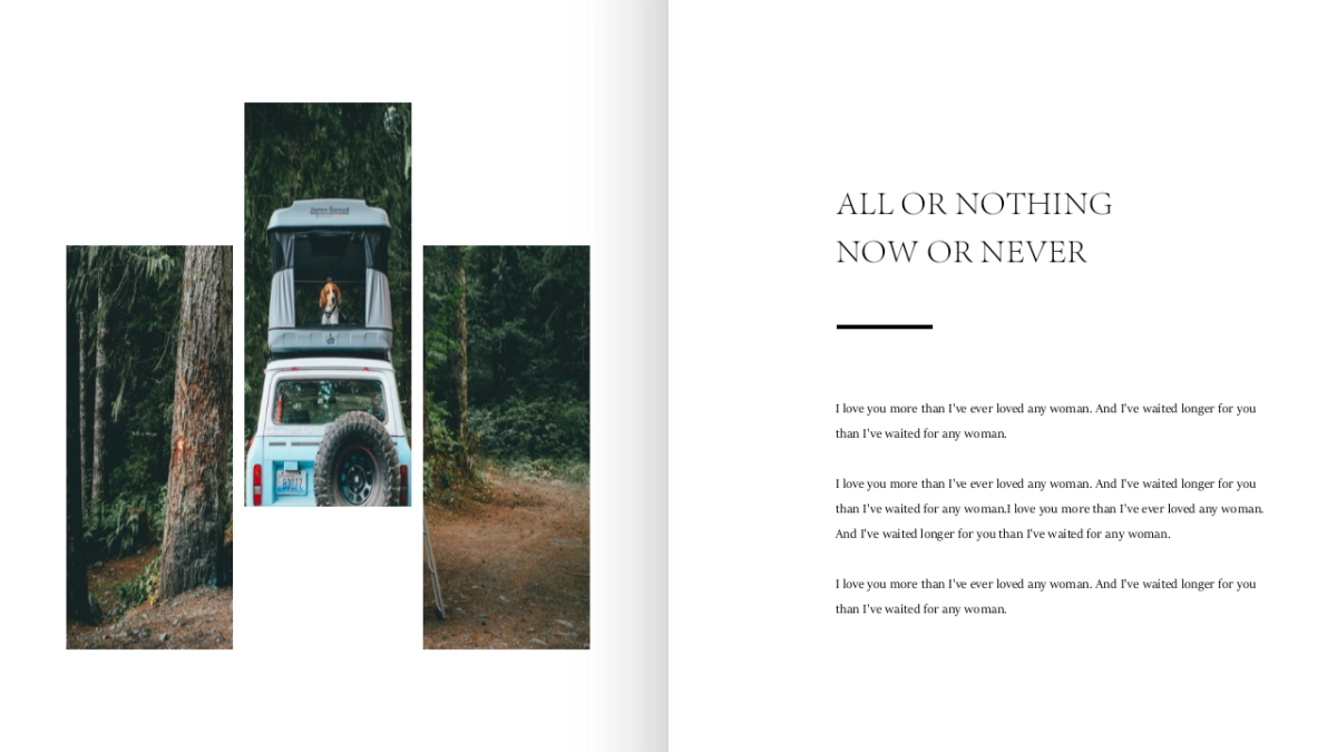 87作品简历_第4页