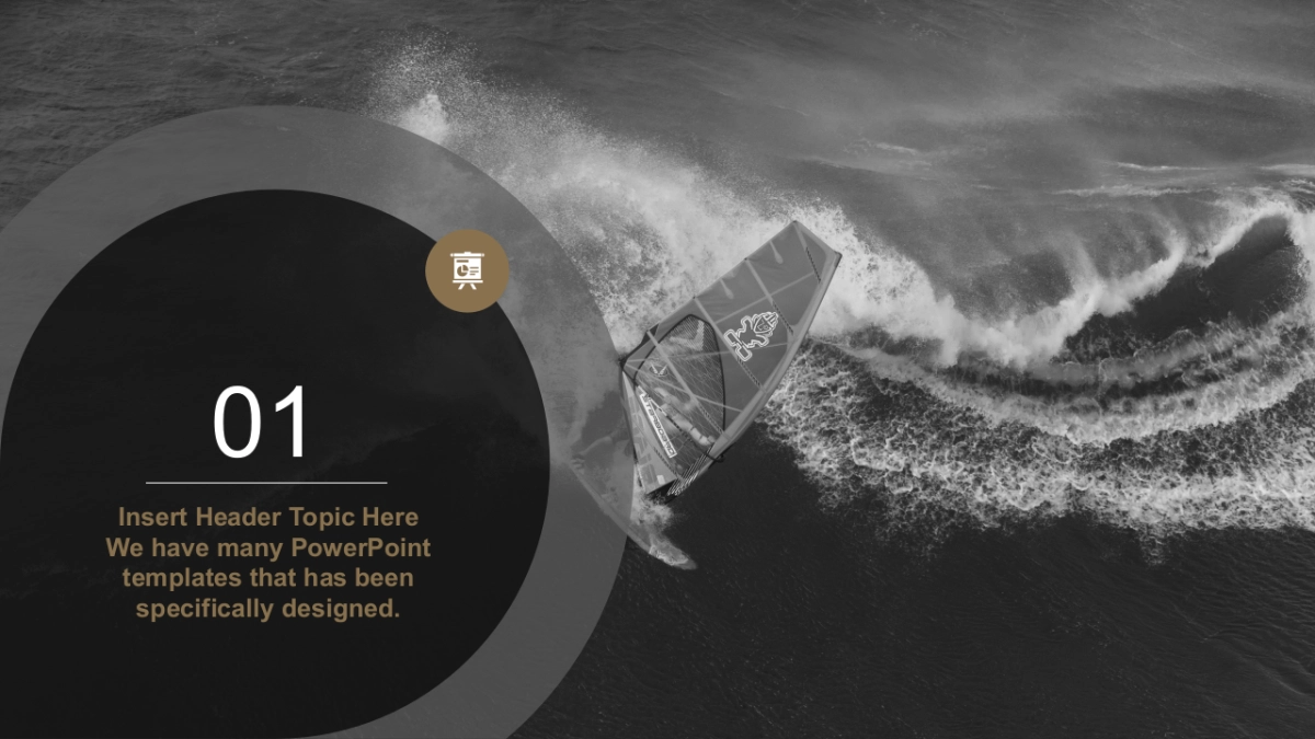 89作品简历_第3页