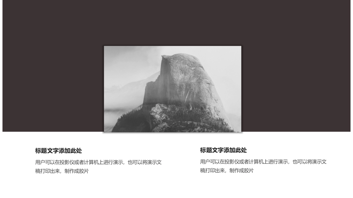 89作品简历_第4页