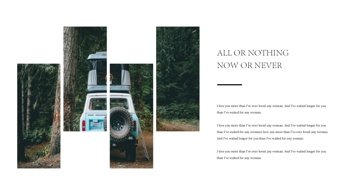 89作品简历_第5页