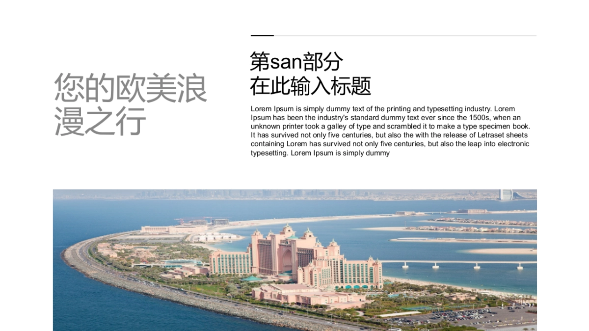 89作品简历_第9页