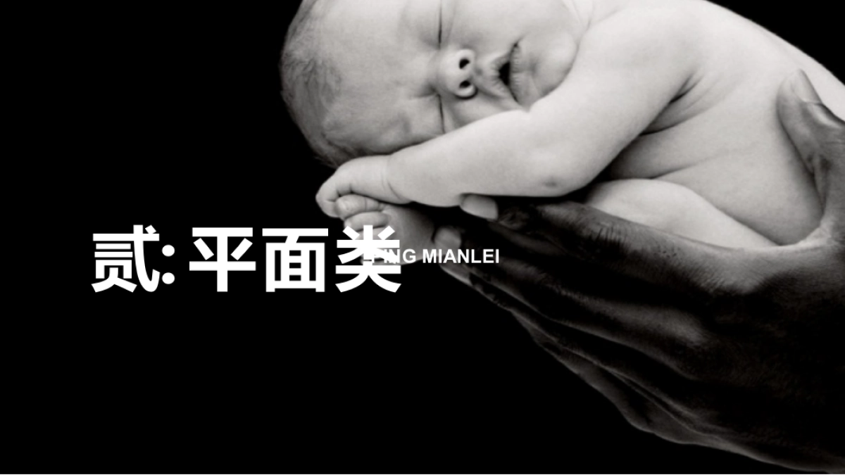 94作品简历_第10页