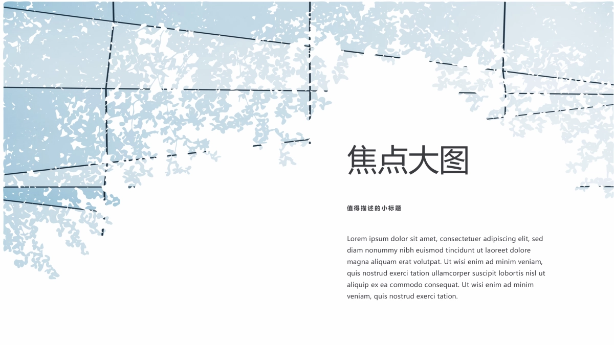 95作品简历_第2页