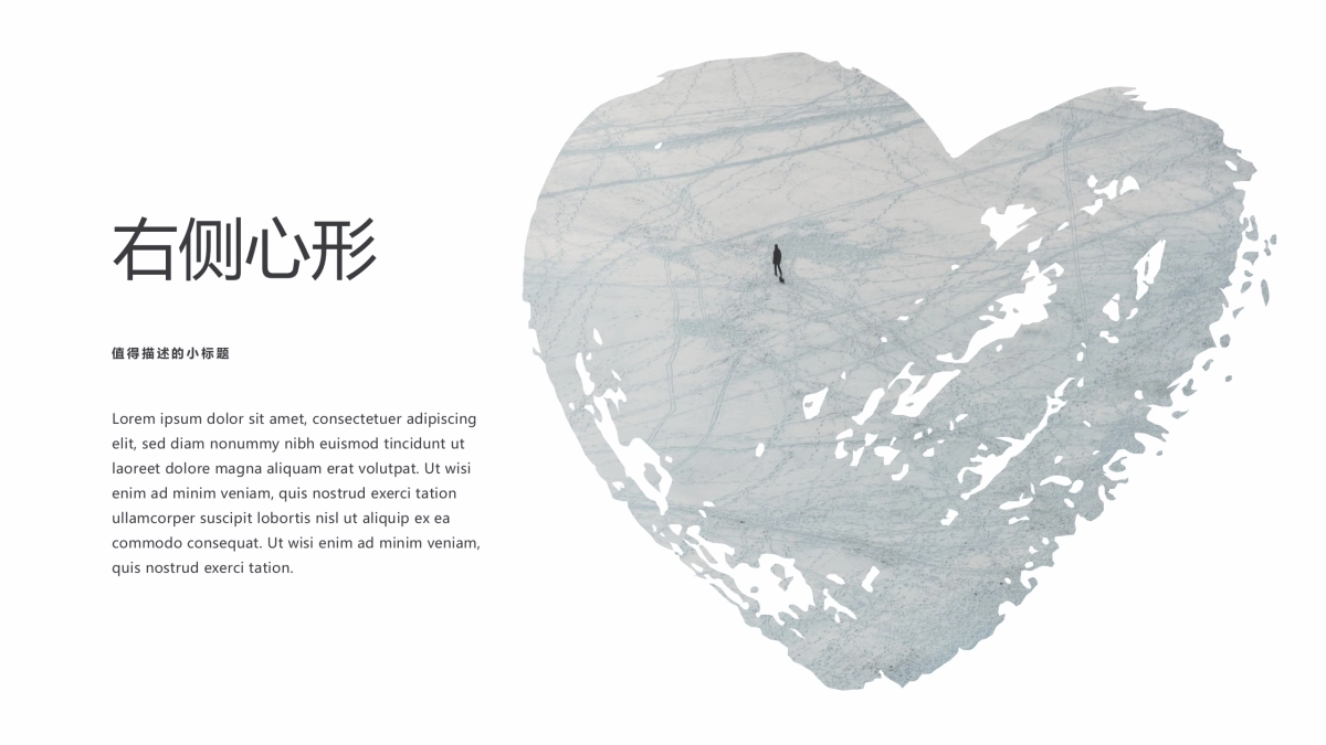 95作品简历_第3页