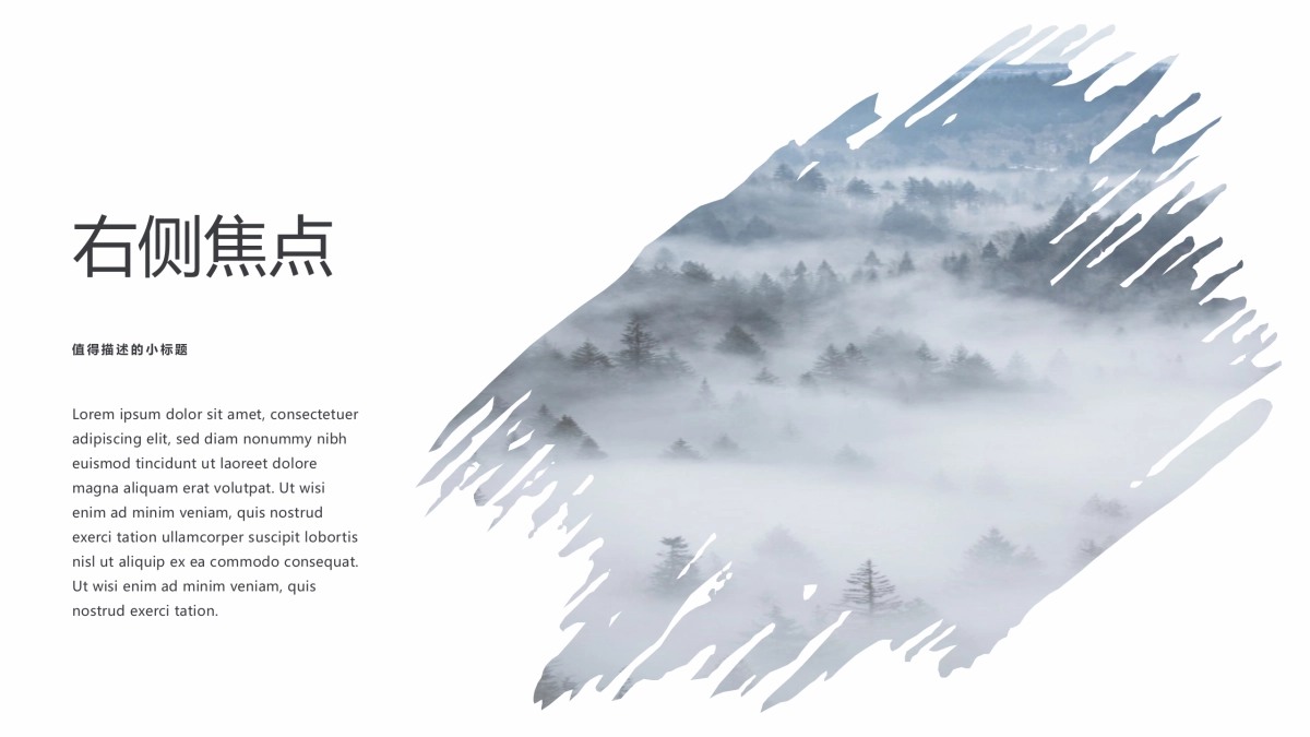 95作品简历_第8页