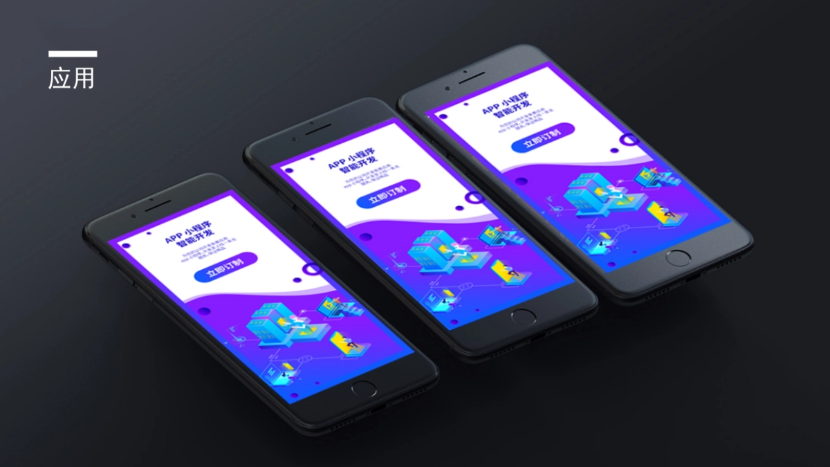 96作品简历_第5页