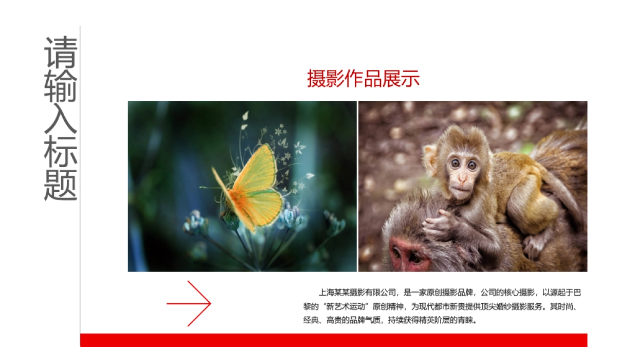 98作品简历_第4页