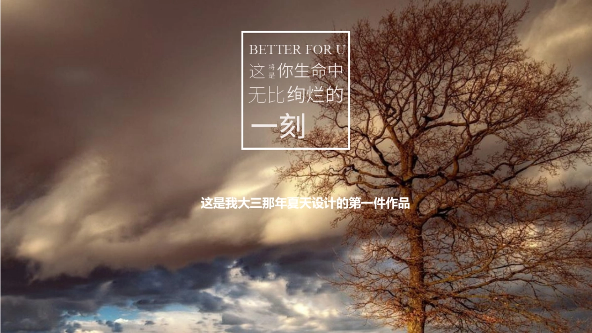 100作品简历_第2页