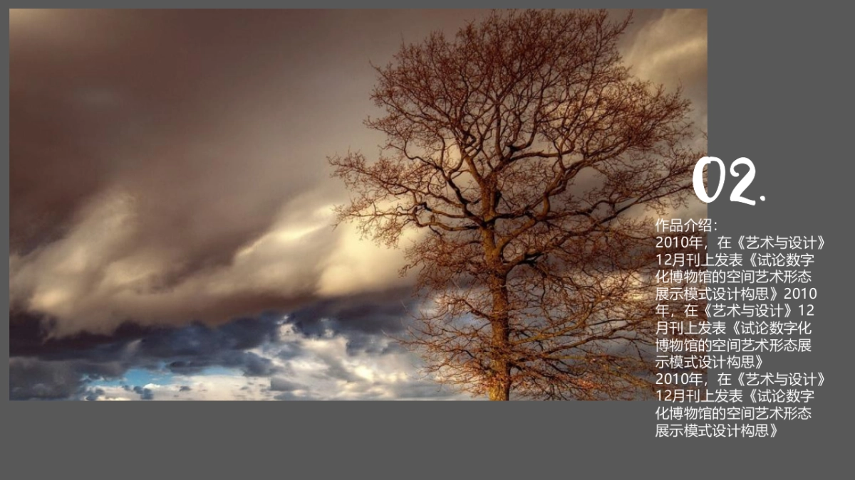 100作品简历_第4页