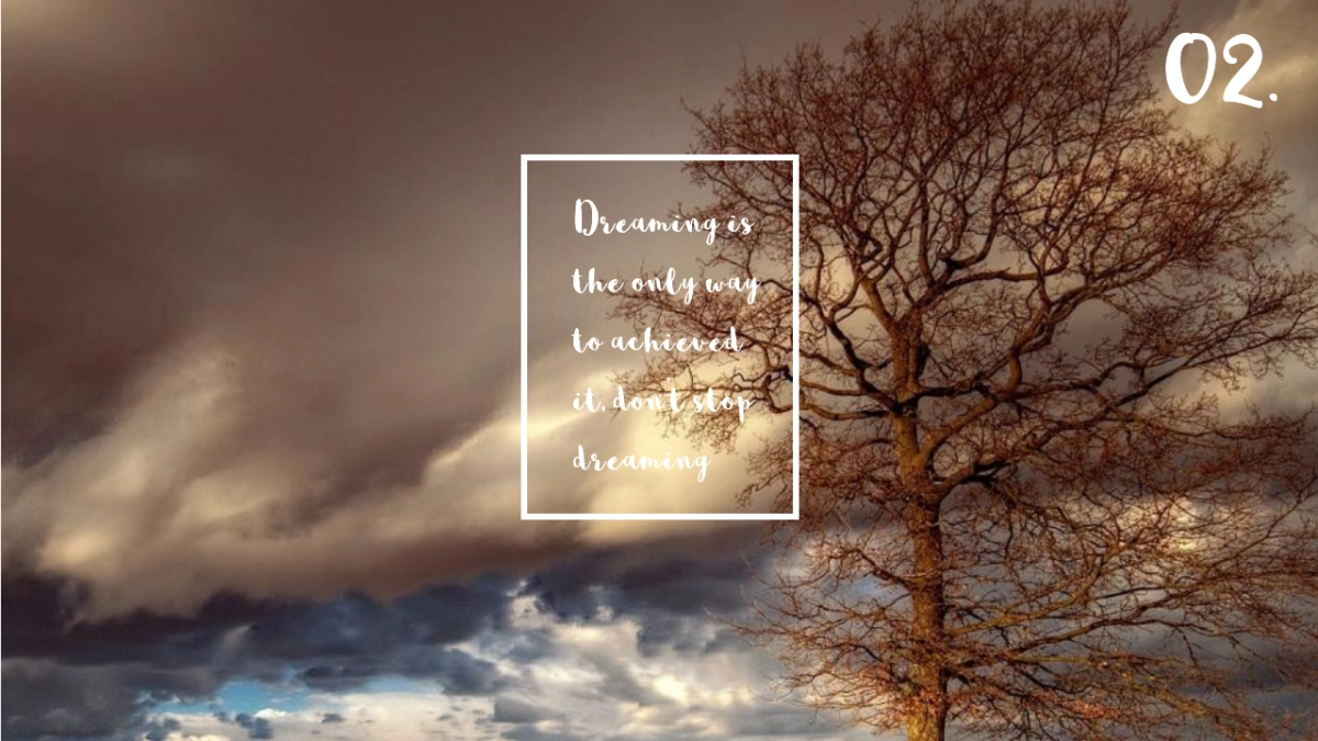 100作品简历_第5页