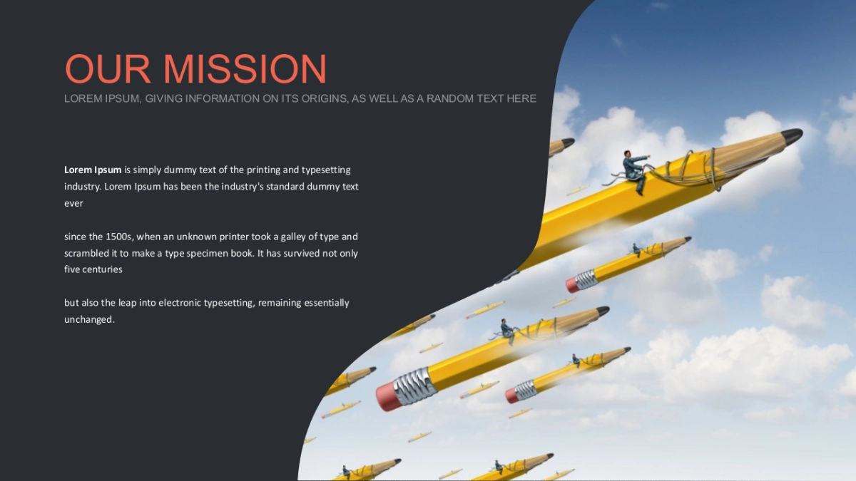 103作品简历_第3页