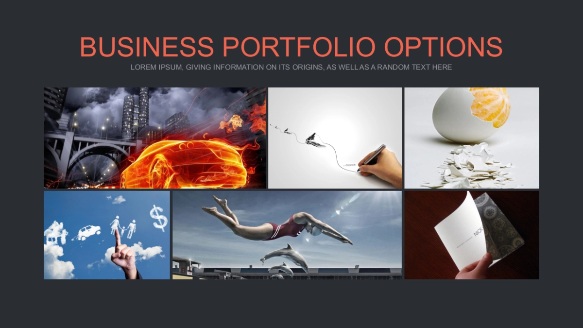 103作品简历_第6页