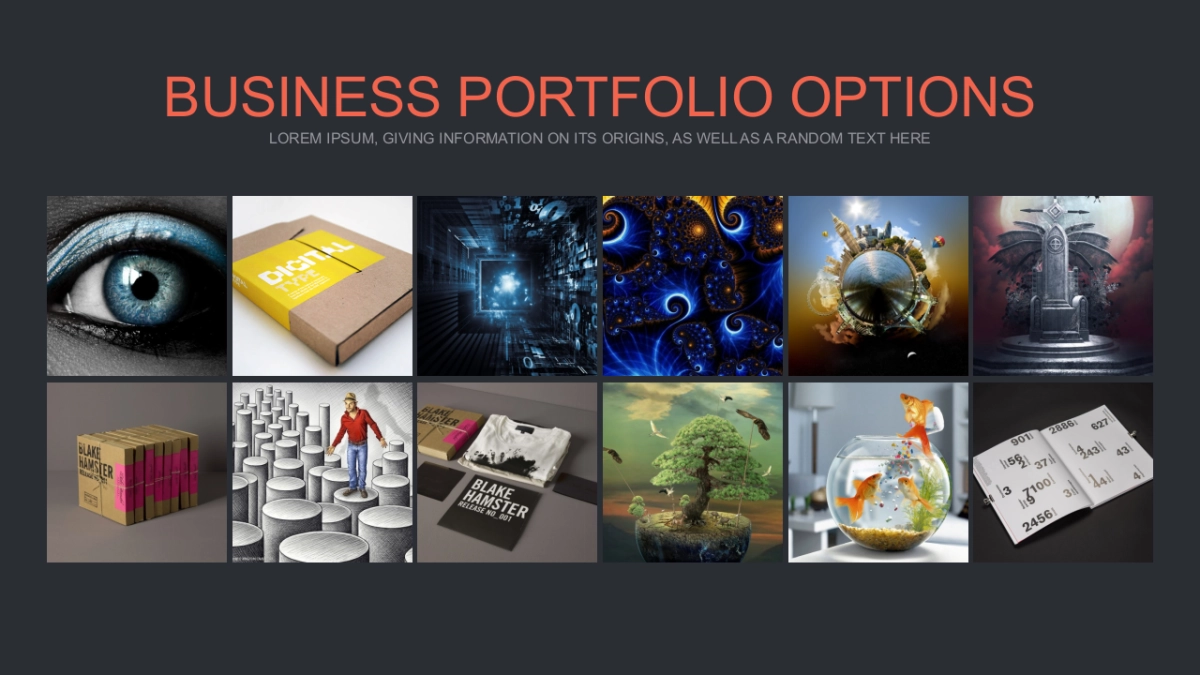 103作品简历_第8页