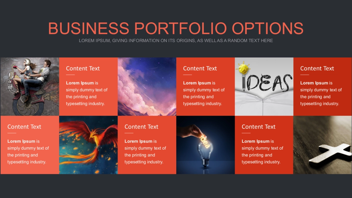 103作品简历_第9页