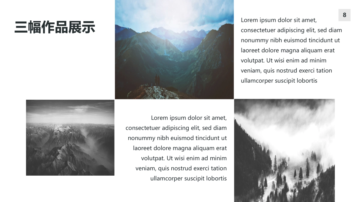 104作品简历_第8页