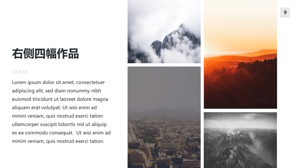 104作品简历_第9页