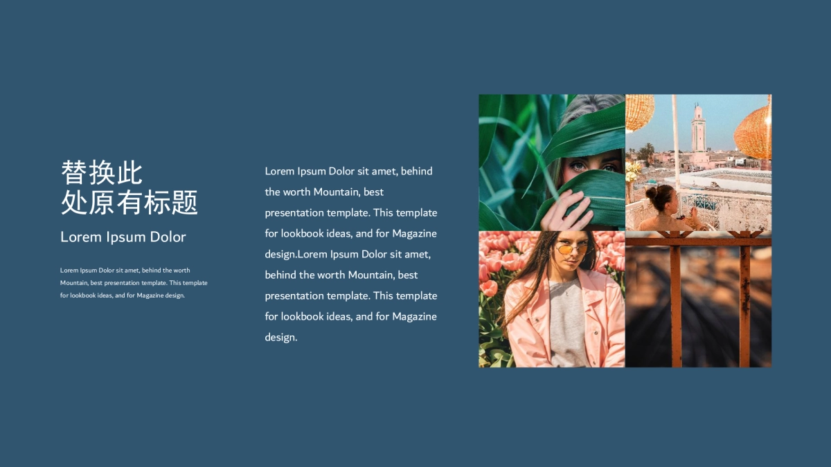 105作品简历_第5页