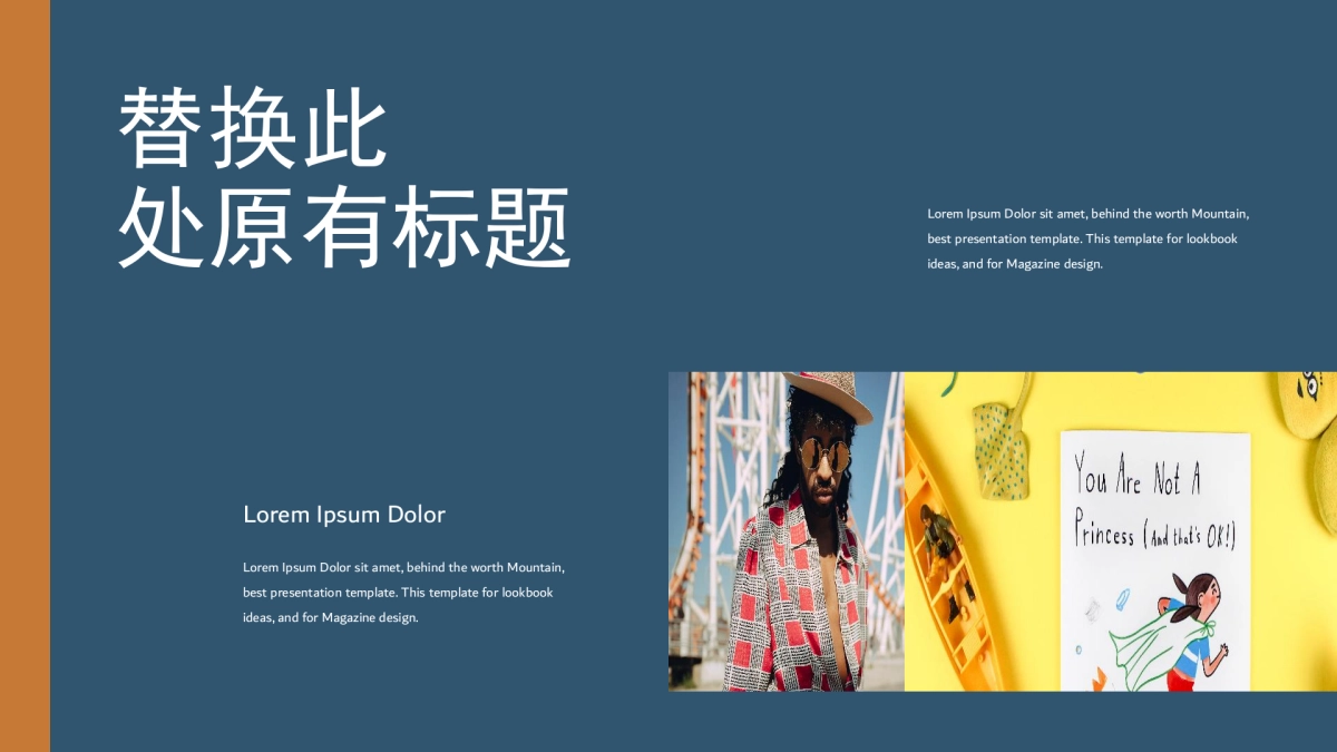 105作品简历_第9页