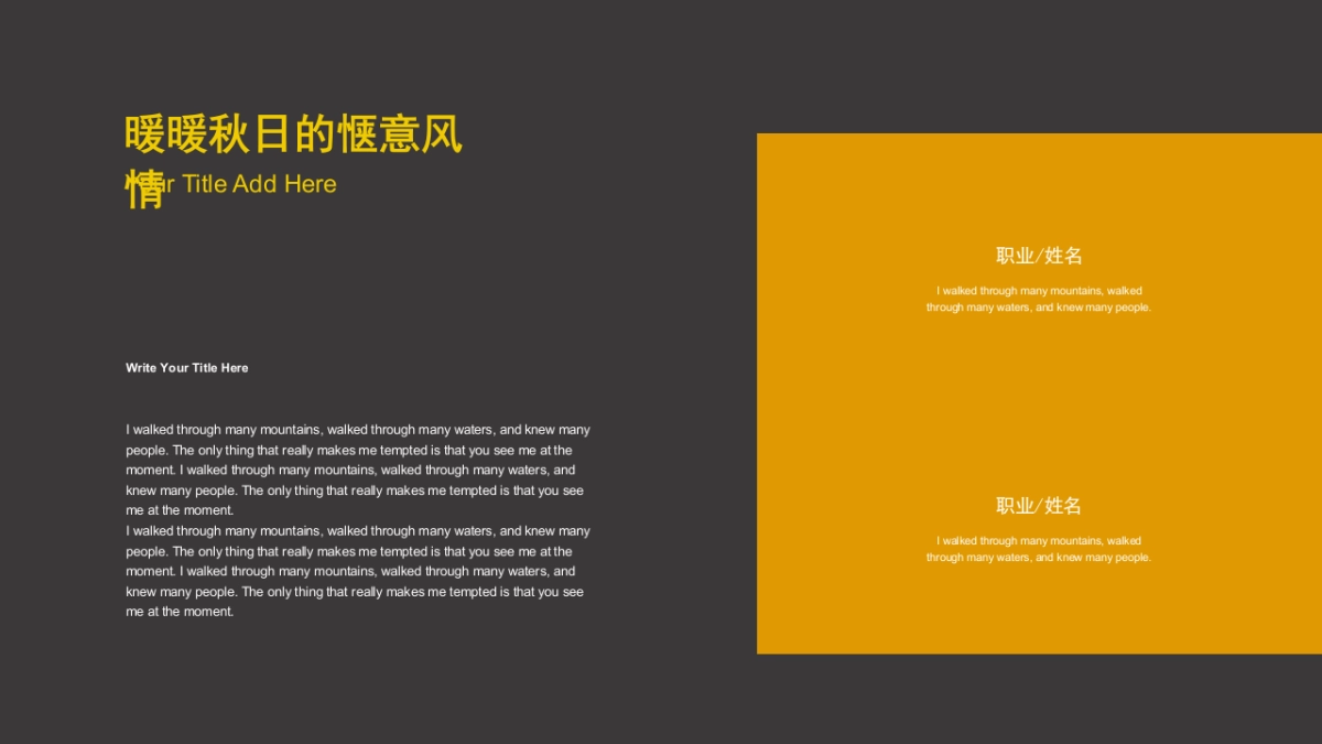 106作品简历_第8页